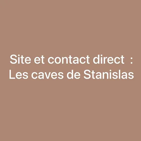 Lägenhet Les De Stanislas Jacuzzi & Nancy